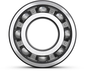 16005 SKF Single row,  Open Bearing