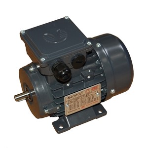 2.2kw 2Pole B3 BM TECA BRAKE Motor TEC Foot Motor 90L2A-TECA