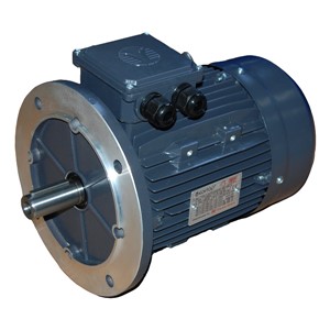 ZZZZ2.2kw 4Pole B5 SP TECA SINGLE PHASE TEC Motor Flange 100L 28MM