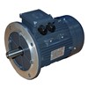 0.06kw 4Pole B5 TECA TEC Flange Motor 56M4A-TECA