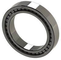 SL18 2952 B MTK Full Complement Cylindrical Roller Bearing
