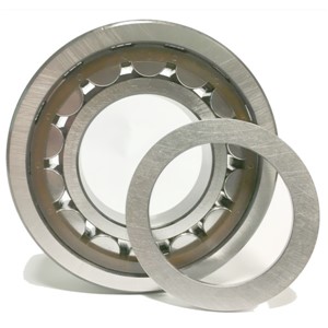 NUP2319 ECJ SKF Cylindrical Roller Bearing
