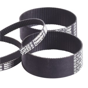 1008MXL 019 POWERGRIP