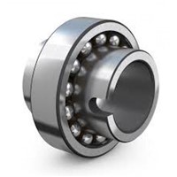 11205 TN9 SKF self-aligning ball bearing