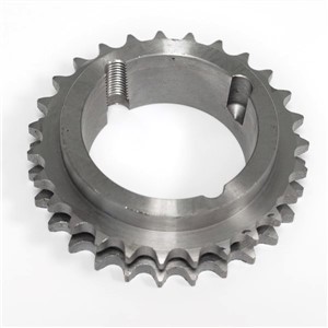 013T 1.00 Duplex Taper Lock Sprocket