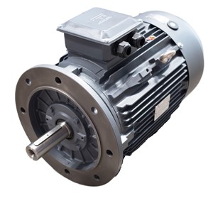 30.0kw 2Pole B5 IE2 TECC TEC C/I Motor Flange 200LA 55M